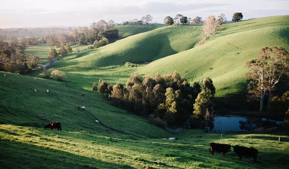 Gippsland se beneficiará del impulso turístico