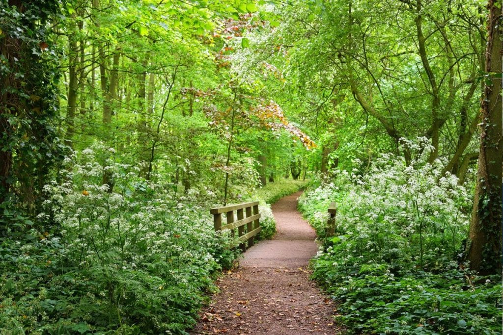 Parque Stochemhoeve