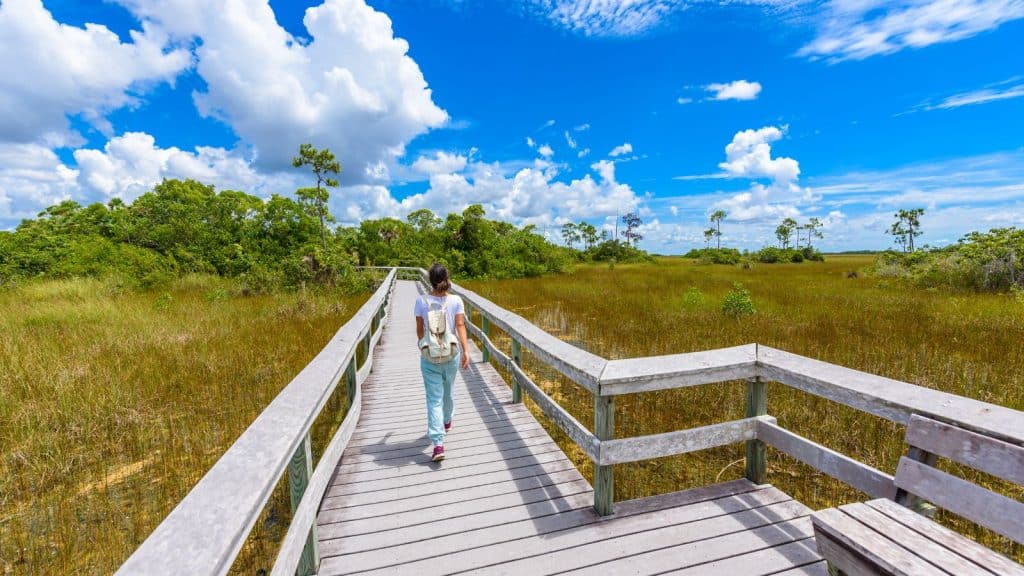 Parque Nacional de los Everglades