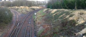 Se reanudará la tala de árboles en la línea de East Kilbride