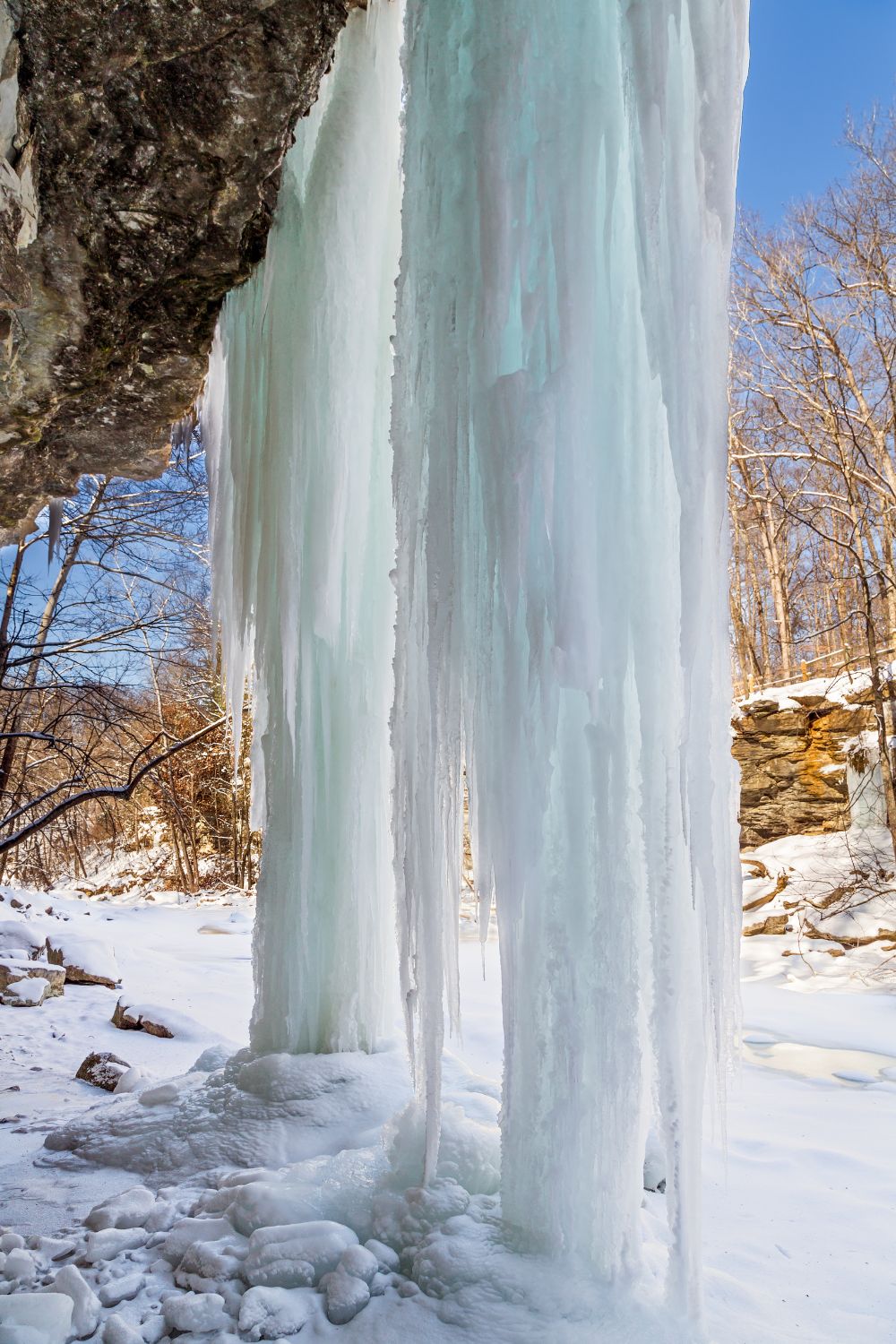 Las 9 mejores máquinas de hielo de 2022